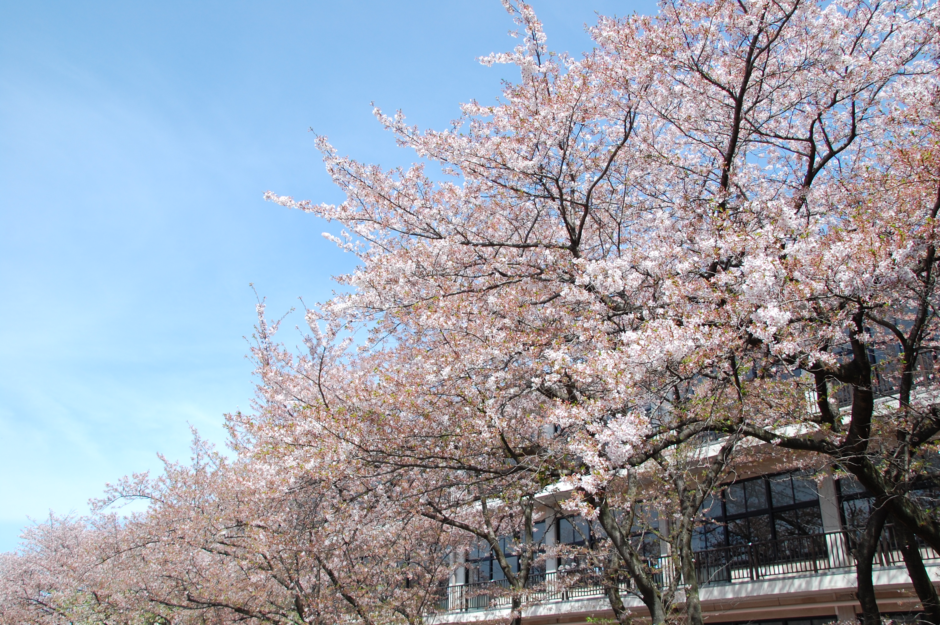 DSC_0015.JPG