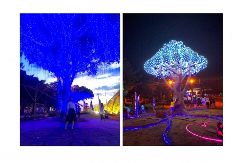 11-2-1-Lightup.jpg