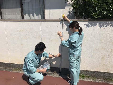 IMG_1911.jpeg