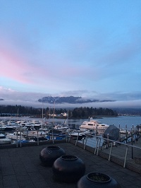IMG_4152.JPG
