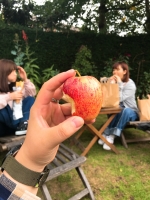 IMG_7537.jpeg