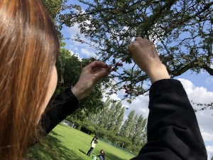IMG_8200.jpeg
