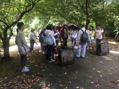 amami20160905-3.jpg