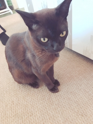 image31.jpeg
