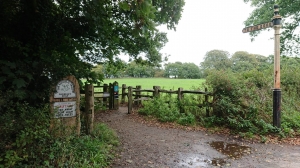 image33.jpeg