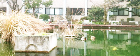 ne_20140225_02.jpg