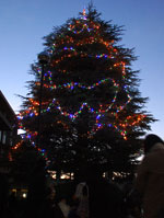 ne_20141117_03.jpg