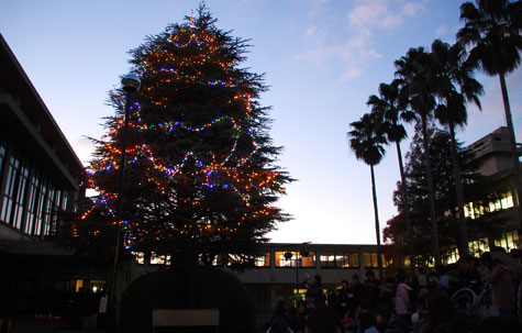 ne_20141117_05.jpg