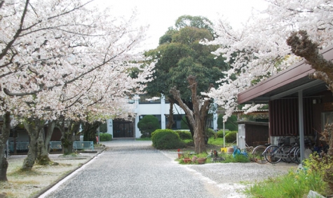 ne_20150402_03.jpg