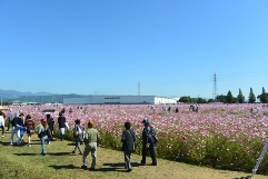 s_today160613N4.jpg