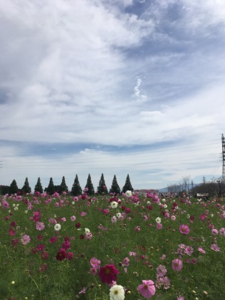 s_today161021N4.jpg