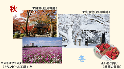 s_today190912n3.png
